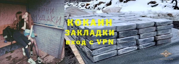 дурь Алексин