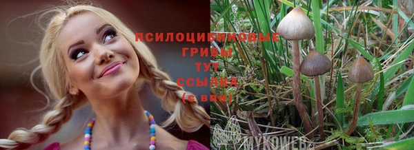мяу мяу мука Алексеевка