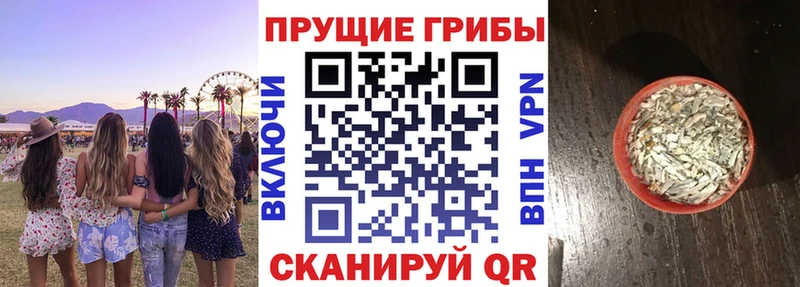 Галлюциногенные грибы Psilocybine cubensis  сколько стоит  Дудинка 